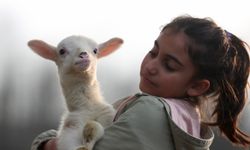 Köy hayatı tutkunu çift 2 koyunla başladıkları besicilikte çiftlik kurdu