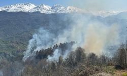 ARTVİN - Çıkan orman yangını kontrol altına alındı