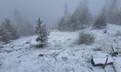 Bolu, Düzce, Sakarya ve Karabük'ün Yüksek Kesimlerine Kar Yağışı
