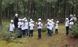 Samsun Vezirköprü'de "Orman Benim" Kampanyası Çerçevesinde Çöp Toplama Etkinliği Gerçekleştirildi