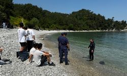 Çatalzeytin Ginolu Limanı ve Koyunda Dünya Çevre Günü Temizliği Gerçekleştirildi