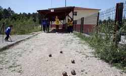 Kastamonu'nun Araç İlçesinde Köy Okulu Öğrencilerinden Şampiyonluk Başarısı