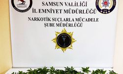 Samsun'da Uyuşturucu Operasyonunda 2 Şüpheli Gözaltına Alındı