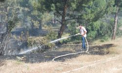 ÇANAKKALE - Bayramiç ilçesinde tarım arazisinde çıkan yangın ormana sıçradı