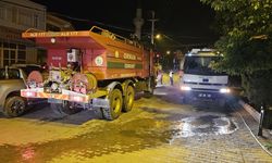 Çanakkale'de Orman Yangını: Çanakkale Savaşları Gelibolu Tarihi Alanı'na Girişler Durduruldu