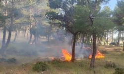 Çanakkale'de ormanlık alanda çıkan yangına müdahale ediliyor (3)