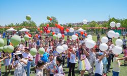 Diyarbakır Çınar'da Filistin Bayrağı Renklerinde Balonlar Gökyüzüne Salındı