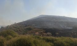 İzmir'de Makilik Alanda Çıkan Yangın Kontrol Altına Alındı: Havadan ve Karadan Müdahale