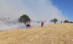 Mardin'de Arazi yangını kontrol altına alındı