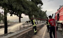 MERSİN - Refüjdeki ağaçlarda çıkan yangın söndürüldü