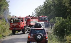 MUĞLA - Milas ilçesinde çıkan orman yangını söndürüldü