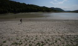 Batı Karadeniz'de mevsimsel kuraklık tarımsal üretim alışkanlığında değişim sinyali veriyor