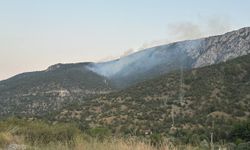 Çorum'da çıkan orman yangınına müdahale ediliyor