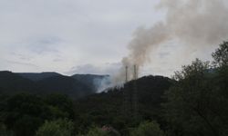 Karabük'te ormanlık alanda çıkan yangına müdahale ediliyor