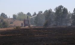 Kastamonu'da otluk alanda çıkan yangın kontrol altına alındı