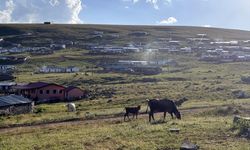 ARDAHAN - Yayla evlerinde yaşayanlar odun kırıp soba yakıyor