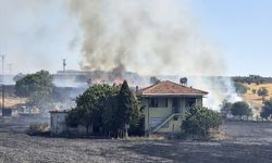 Manisa'daki yangında yaklaşık 5 dönüm buğday tarlası hasar gördü