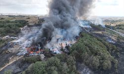 TEKİRDAĞ - Otluk alandan geri dönüşüm tesisine sıçrayan yangına müdahale ediliyor (2)