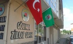 Gölyaka'da fındıkta işçi yevmiyelerine tavan fiyat uygulaması getirildi