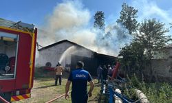 Samsun'da çıkan yangında samanlık ve odunluk zarar gördü