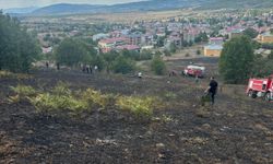 Tokat'ta çıkan ot yangınında 2 dönümlük alan zarar gördü