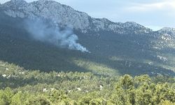 ANTALYA - Akseki ilçesinde orman yangını çıktı (2)