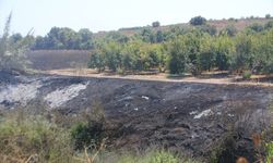 ANTALYA - Sazlık alanda çıkıp tarım arazisine sıçrayan yangın söndürüldü