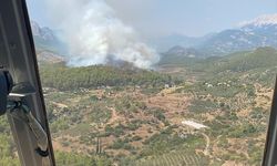 ANTALYA - Serik ilçesinde orman yangını çıktı (3)