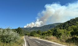 KARABÜK - Ormanlık alanda çıkan yangına müdahale ediliyor (4)