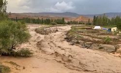 KARS - Etkili olan sel bazı meyve bahçelerine zarar verdi