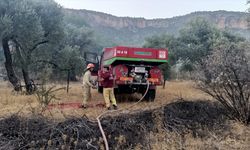 MERSİN - Silifke'de çıkan orman yangınına müdahale ediliyor (2)