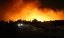 Muğla'nın Milas ilçesinde çıkan orman yangınına müdahale ediliyor (9)