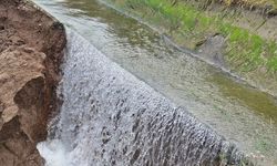 TOKAT - Sulama kanalındaki çöküntü nedeniyle akan su ekili arazide zarara yol açtı