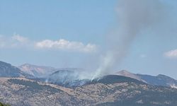 TUNCELİ - Ormanlık alanda çıkan yangına müdahale ediliyor