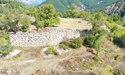 Artvin'de başlatılan kazı çalışmasıyla tarihi yapının geçmişi aydınlatılacak