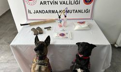 Artvin'de uyuşturucu operasyonunda 1 şüpheli tutuklandı