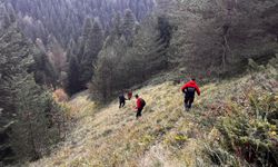 Bolu'da yaylada kaybolan yaşlı çift aranıyor