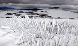 Amasya'nın yüksek kesimlerine kar yağdı