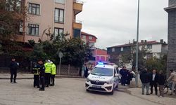 Ordu'da çöp kamyonunun çarptığı kişi öldü