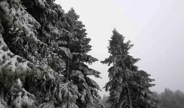 "Bolu'nun Yüksek Kesimlerinde Kar Yağışı ve Sağanak Etkili Oldu: Kartalkaya Beyaz Örtüyle Kaplandı"
