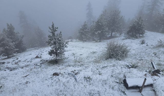 Bolu, Düzce, Sakarya ve Karabük'ün Yüksek Kesimlerine Kar Yağışı