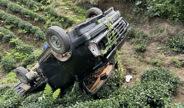 Rize'de çay bahçesine devrilen kamyonetteki 3 kişi yaralandı
