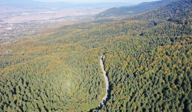 Gölcük Tabiat Parkı ve çevresi hazan mevsiminin renkleriyle süslendi