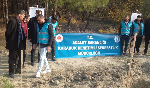 Karabük Denetimli Serbestlik Müdürlüğü 100 fidanı toprakla buluşturdu