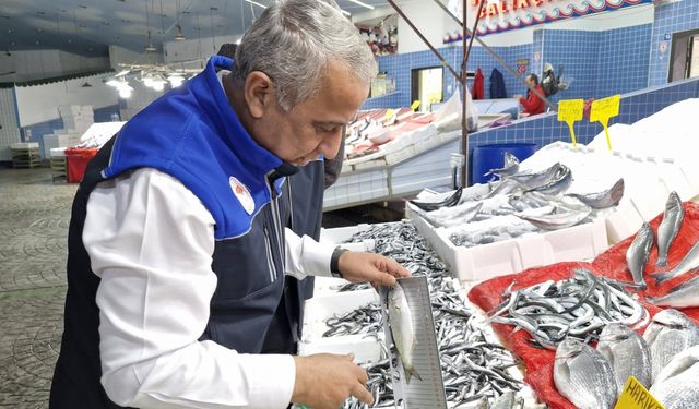 Samsun'da boy limitinin altında balık avlayanlara yaklaşık 2 milyon lira ceza kesildi